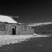 Derelict Farm house 281209 BW
